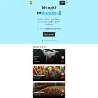 Business Ideas Quiz | nichesss