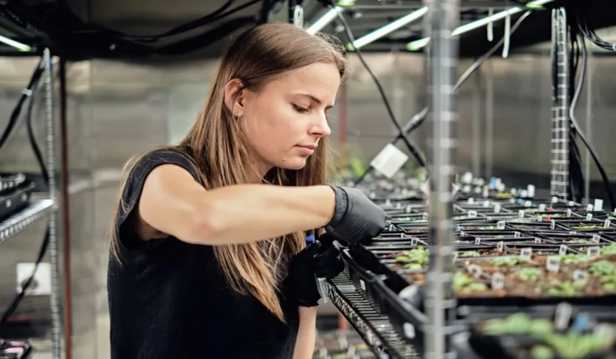 Google’s X spins out Heritable Agriculture, a startup using AI to improve crop yield