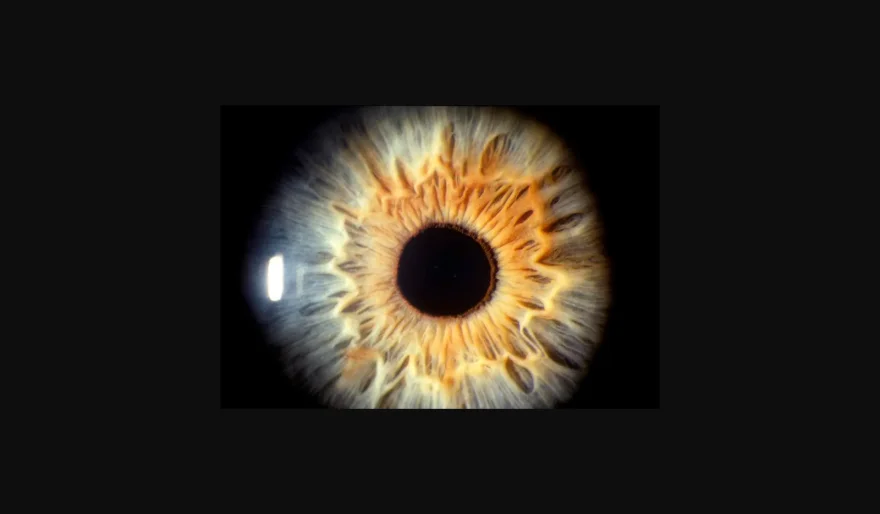 Telling Stories With Our Eyes: MIT Media Lab’s Critical Matter Group Explores the Intersection of AI, Design, and Humanity